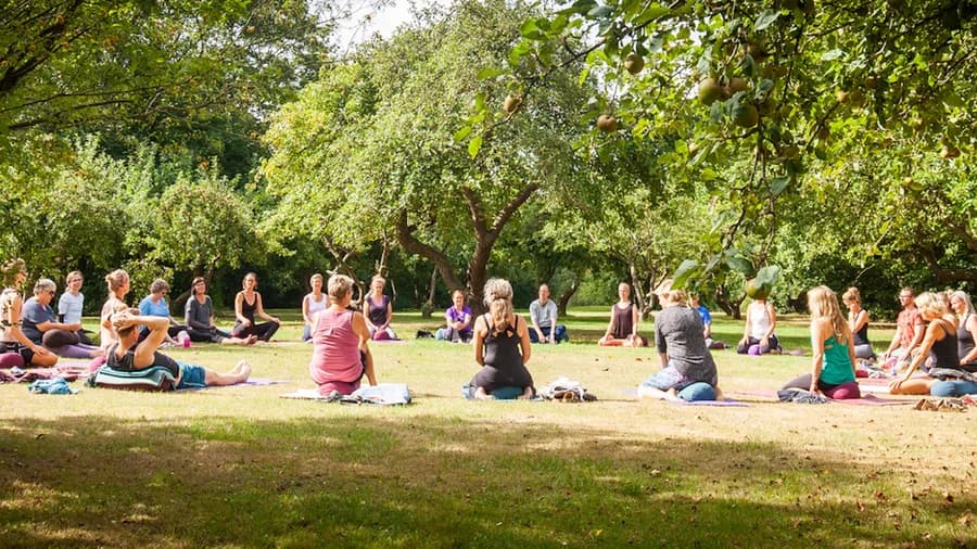 Yoga & Mindfulness