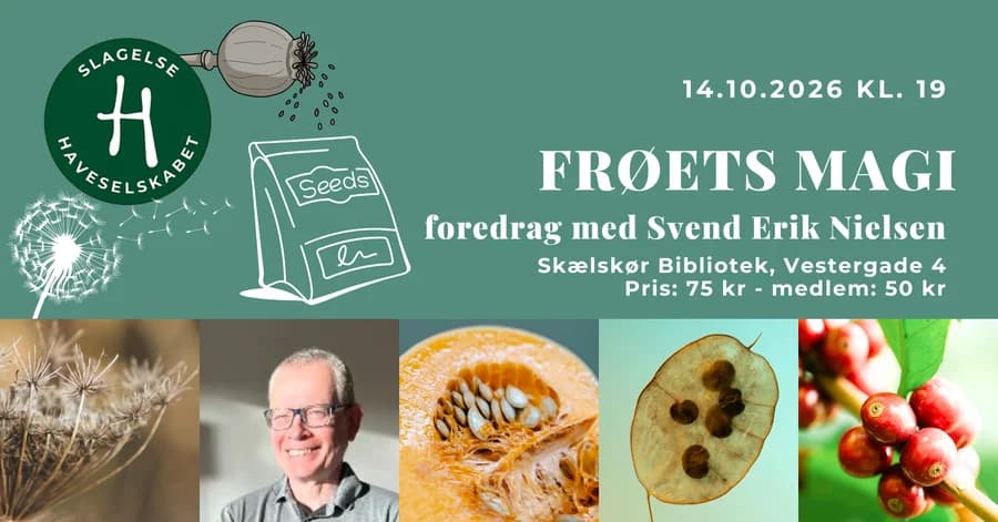 Foredrag om frøets magi: Konger og Kålhoveder