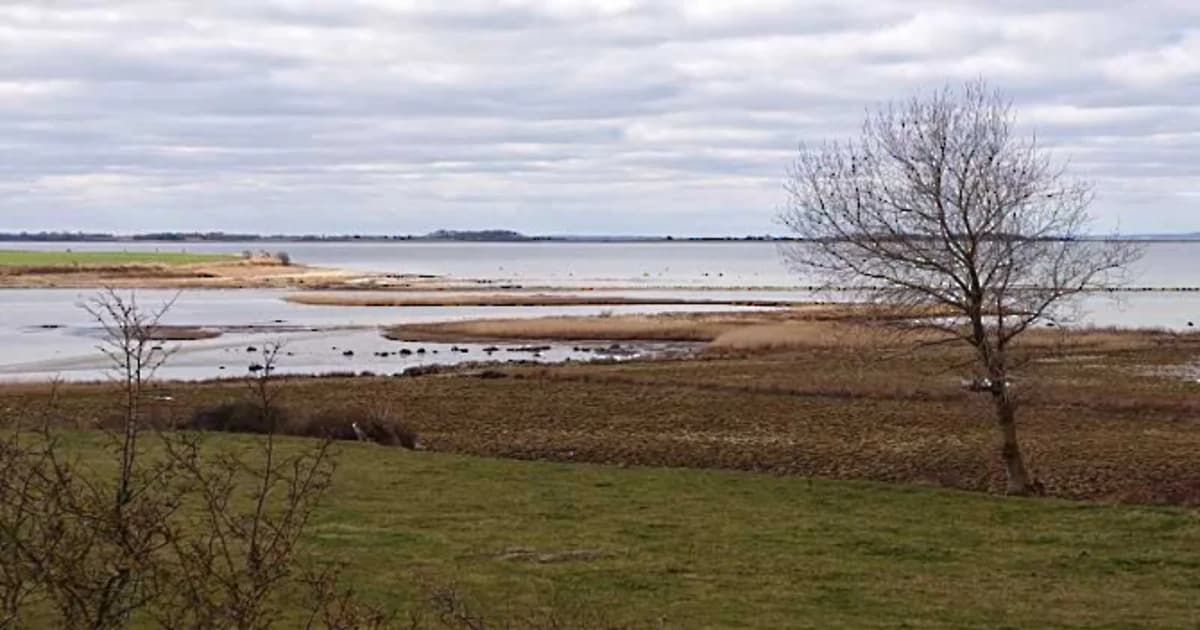 5 vande omkring Skælskør