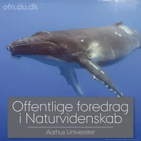 Med havets kæmper på jagt (via livestream fra Aarhus Universitet)