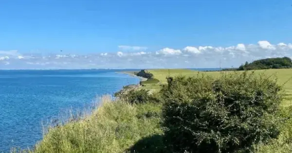 Kviktur ved Storebælt Klint