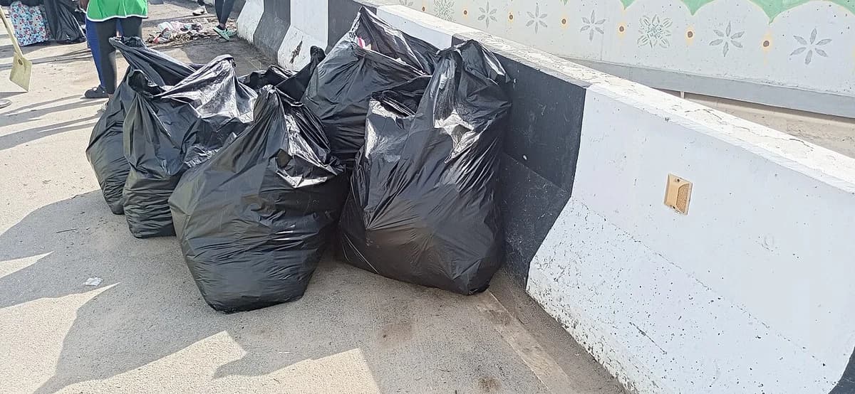 Large black trash bags lined up beside a road during a cleanup effort.