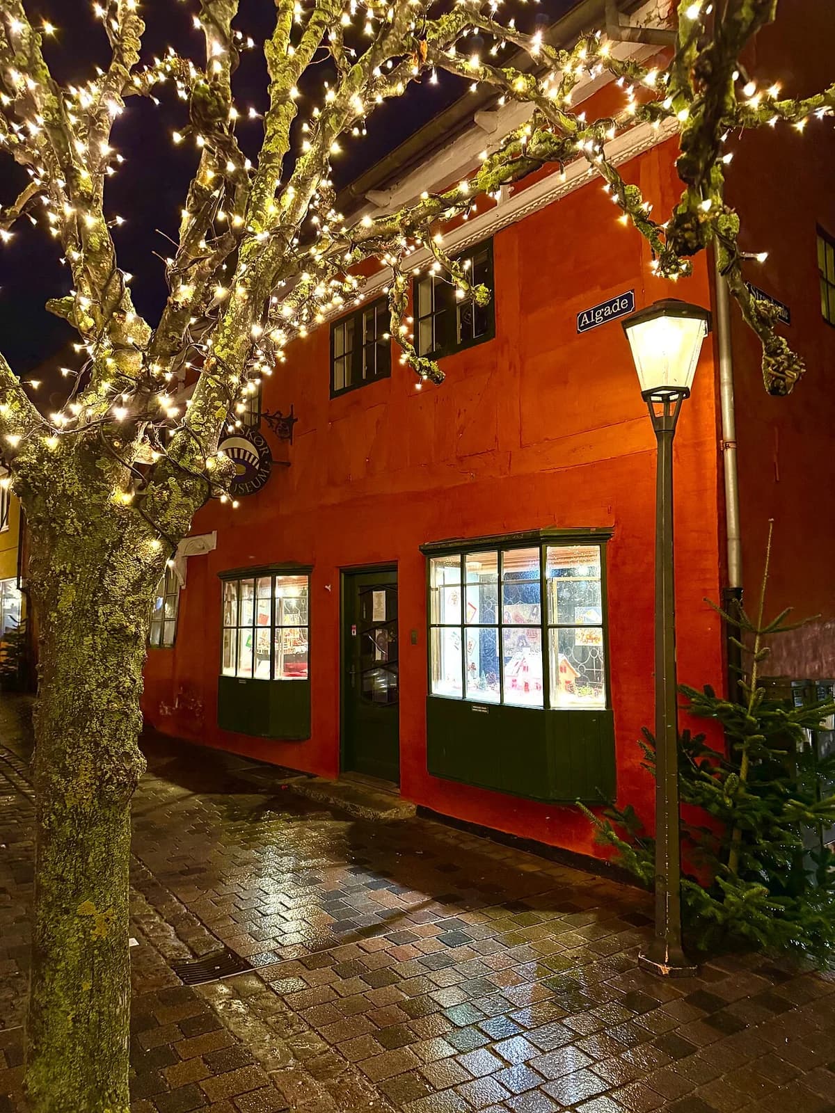 Skælskør City Museum facade at night with Christmas lights on tree