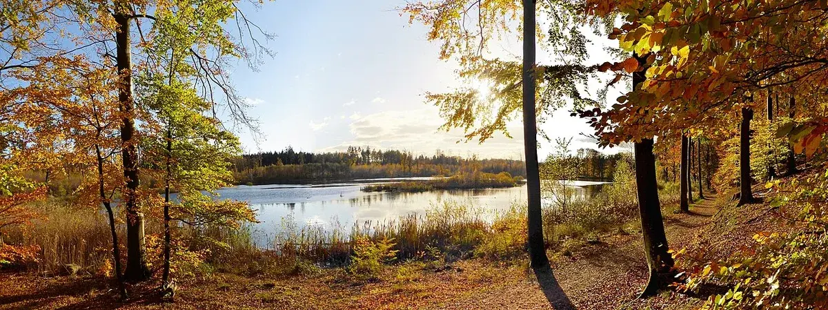 Autumn view of a quiet lake framed by trees in Rude Skov, Denmark.